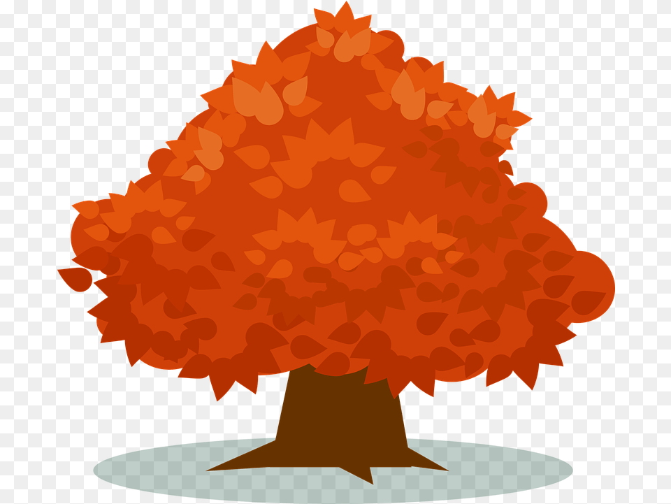 Orange Plant Vector Graphic On Pixabay Transparent Fruit Tree Clipart, Maple, Leaf, Vegetation, Flower Free Png Download