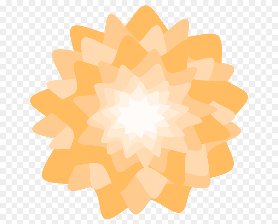 Orange Puff Flower, Lighting, Lamp, Outdoors, Nature Free Png