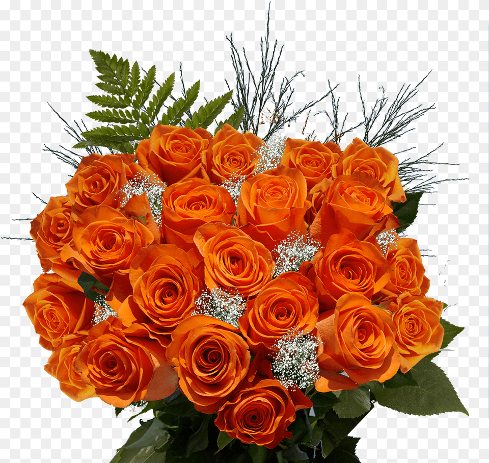 Orange Rose Bouquets 24 Roses Flowers Big Flower Bouquet, Flower Arrangement, Flower Bouquet, Plant, Pattern Free Png