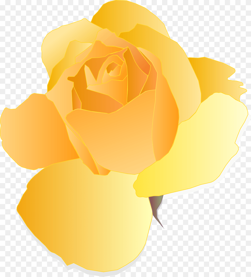 Orange Rose Clipart, Flower, Petal, Plant Png Image