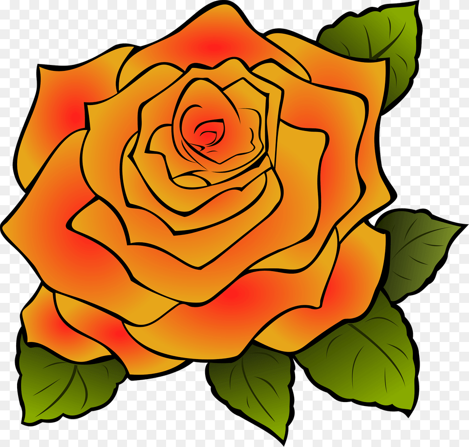 Orange Rose Clipart, Flower, Plant, Petal, Pattern Free Png