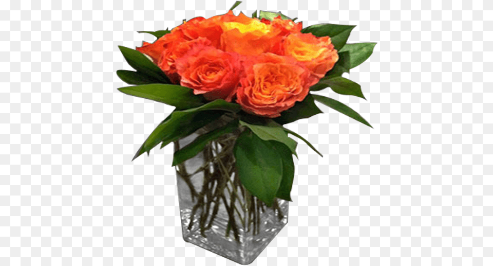 Orange Rose Delight Crafts Hobbies, Art, Pottery, Plant, Pattern Png Image