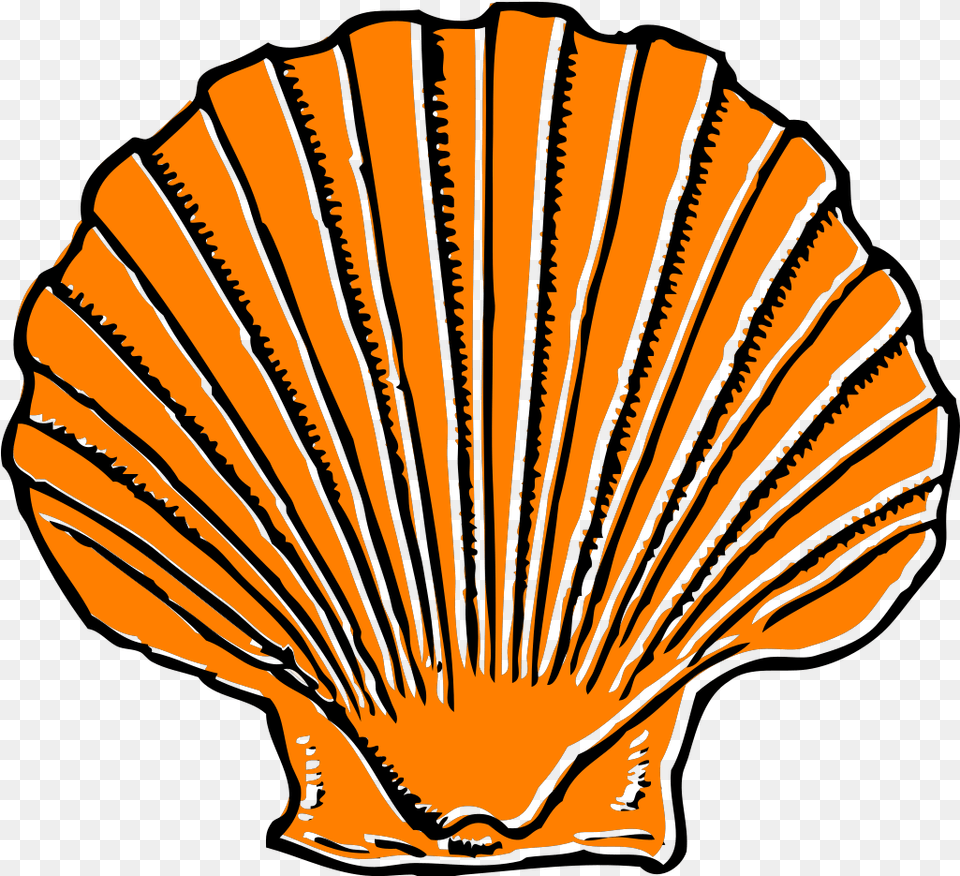 Orange Seashell Svg Clip Arts Download Download Clip Art Sea Shell Clip Art, Animal, Clam, Food, Invertebrate Png Image