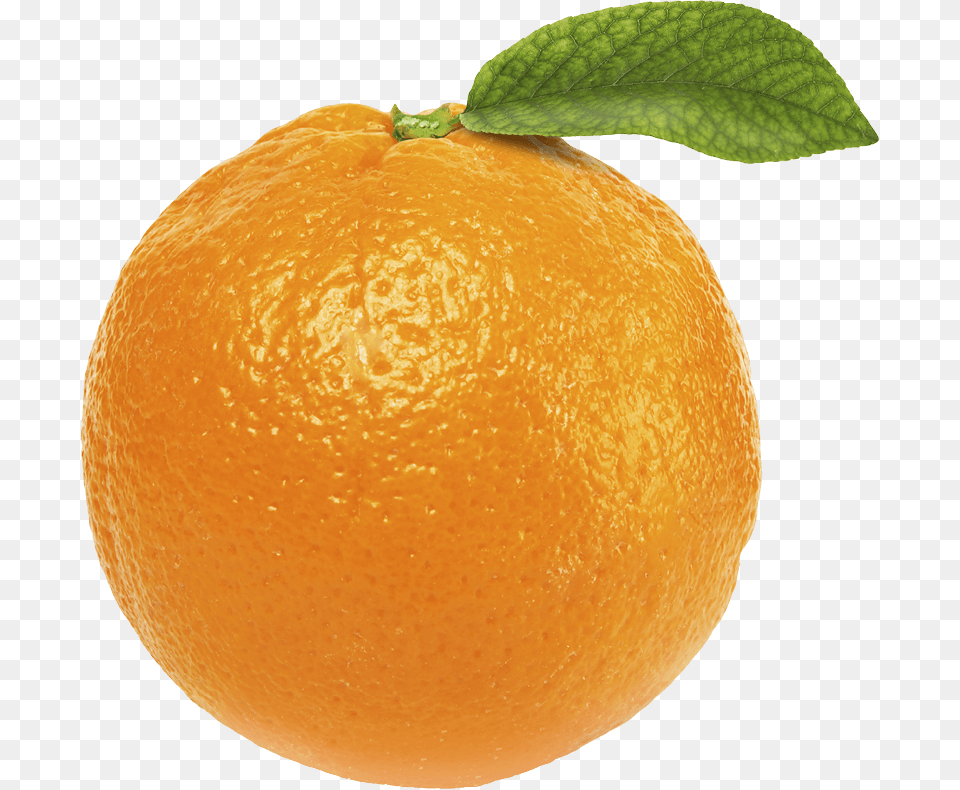 Orange Single, Citrus Fruit, Food, Fruit, Plant Free Transparent Png