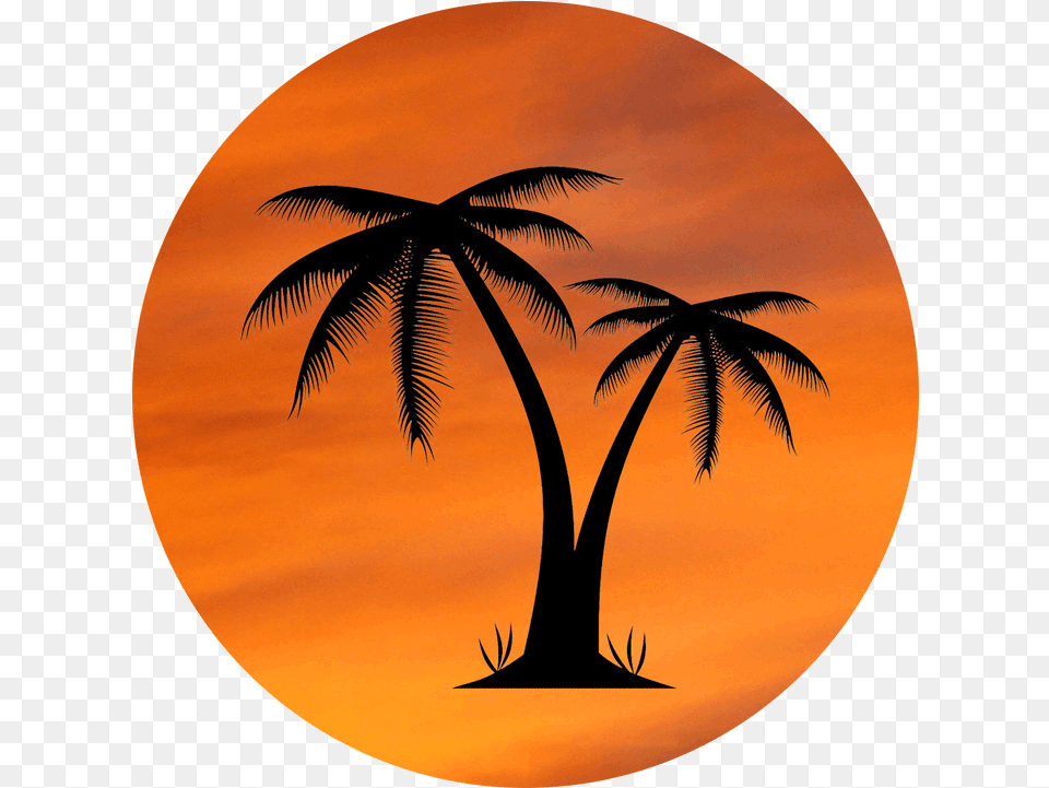 Orange Sky Palm Tree Design Coco, Outdoors, Nature, Plant Png