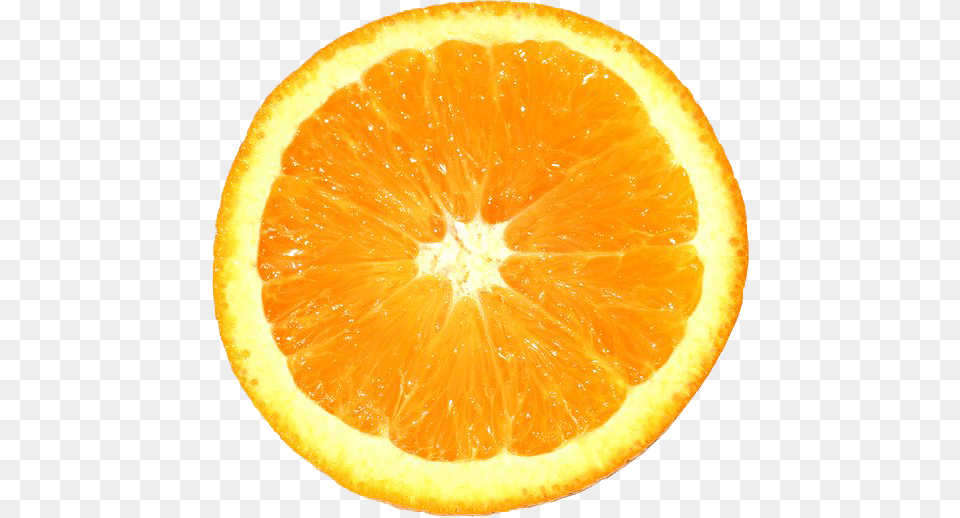 Orange Slice, Citrus Fruit, Food, Fruit, Grapefruit Png Image