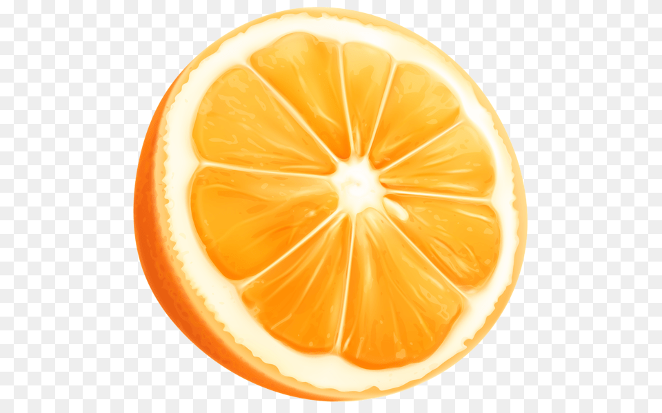 Orange Slice Clip Art, Citrus Fruit, Food, Fruit, Plant Png