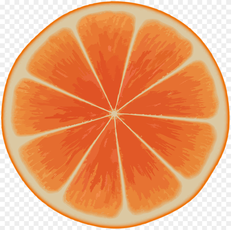 Orange Slice Clipart, Citrus Fruit, Food, Fruit, Grapefruit Free Png