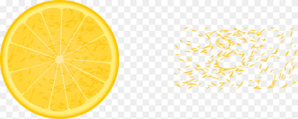 Orange Slice Meyer Lemon, Citrus Fruit, Food, Fruit, Plant Png Image