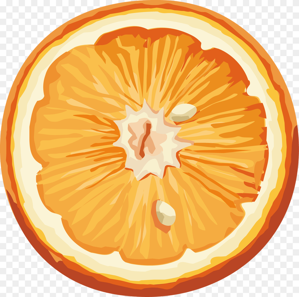 Orange Slice Transparent Background, Citrus Fruit, Food, Fruit, Grapefruit Free Png Download