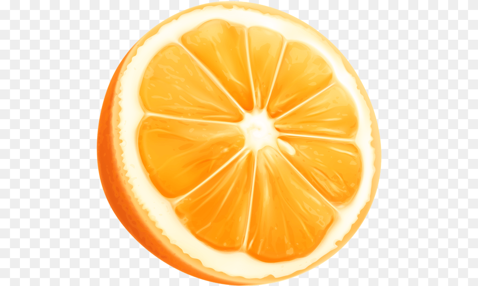 Orange Slice Transparent Clipart Orange Slice Clipart, Citrus Fruit, Food, Fruit, Lemon Png