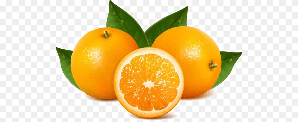 Orange Slice Image Arts, Citrus Fruit, Food, Fruit, Grapefruit Free Transparent Png