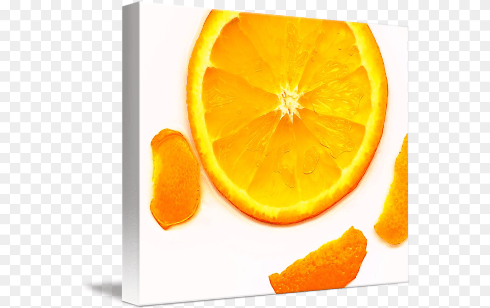 Orange Slice V Edit B By Nawfal Johnson Nur Bitter Orange, Citrus Fruit, Food, Fruit, Plant Png
