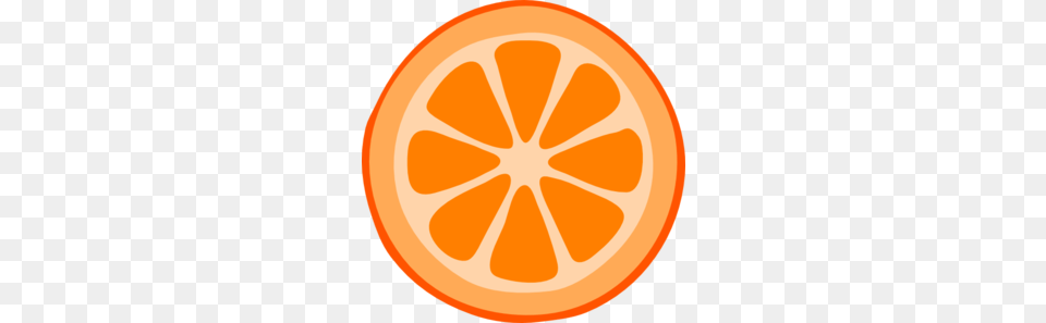 Orange Slice Vector, Citrus Fruit, Food, Fruit, Plant Free Png