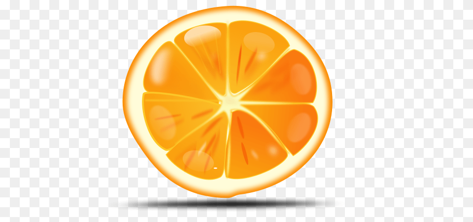 Orange Slice Vector, Produce, Citrus Fruit, Food, Fruit Free Png