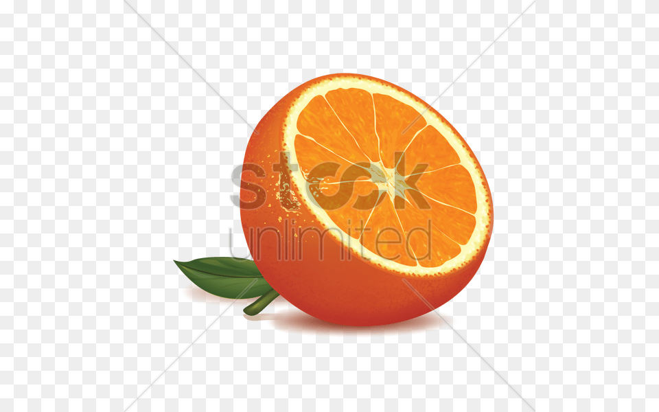 Orange Slice Vector Image, Citrus Fruit, Food, Fruit, Plant Free Png