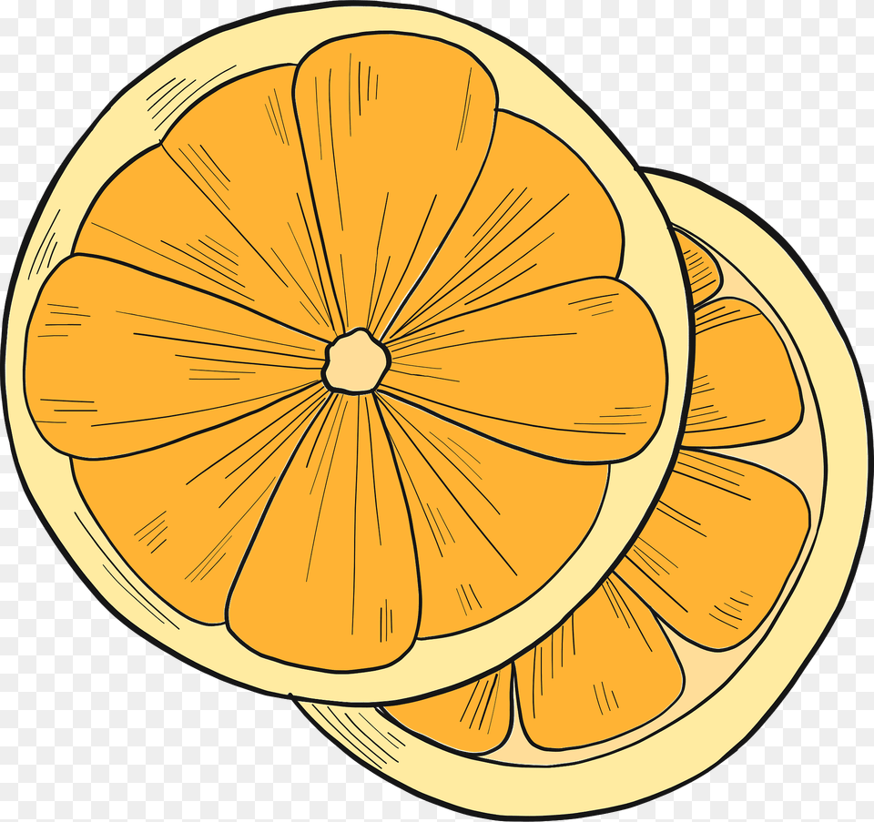 Orange Slices Clipart, Citrus Fruit, Food, Fruit, Grapefruit Png
