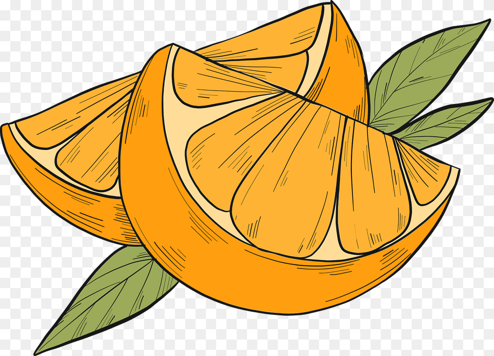 Orange Slices Clipart, Citrus Fruit, Food, Fruit, Produce Png Image