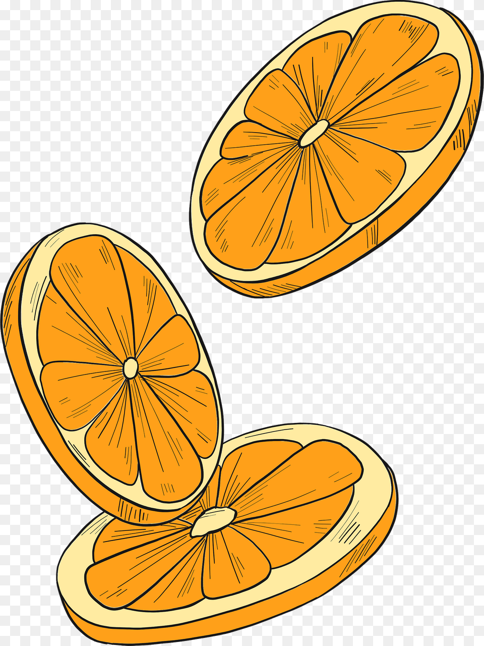 Orange Slices Clipart, Citrus Fruit, Food, Fruit, Plant Free Png Download