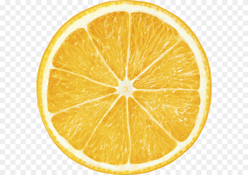 Orange Slices Transparent Background Lemon Slice, Citrus Fruit, Food, Fruit, Plant Png