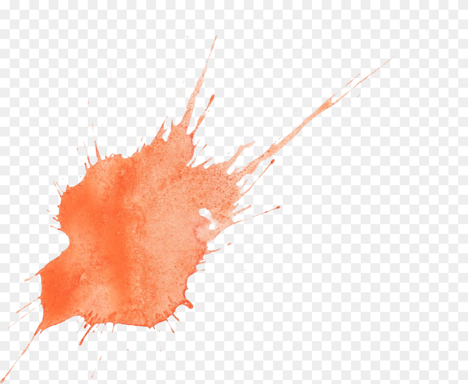 Orange Splatter Transparent Watercolor Painting, Leaf, Plant, Animal, Sea Life Free Png Download