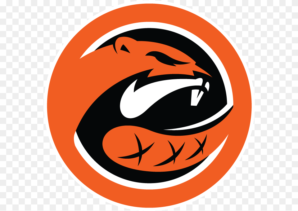 Orange Sports Teams, Logo, Sticker, Disk Free Transparent Png