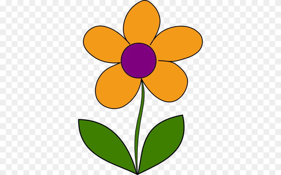 Orange Spring Flower Clip Arts For Web, Anemone, Daisy, Petal, Plant Png