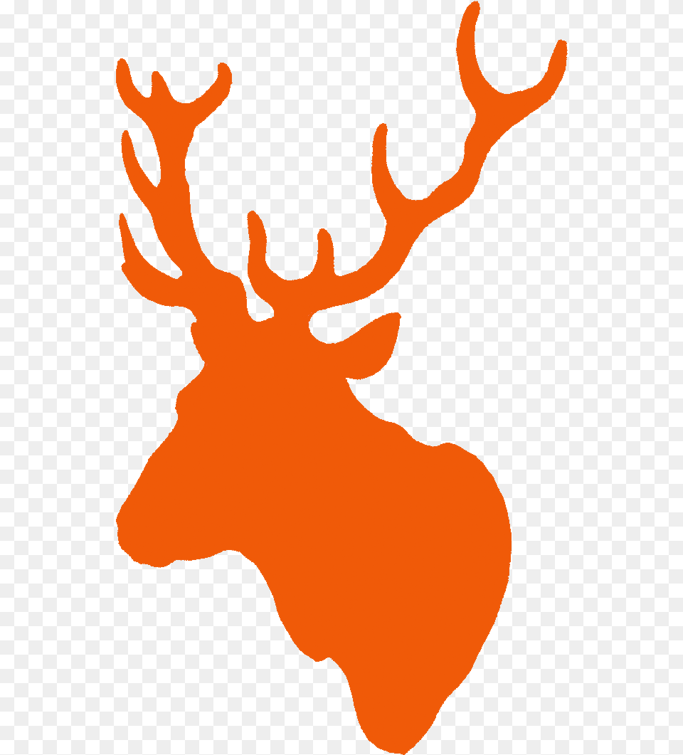 Orange Stag Reindeer, Animal, Deer, Mammal, Wildlife Free Png Download