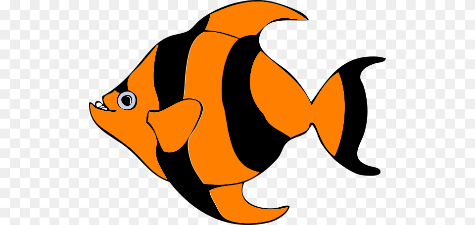 Orange Striped Fish Clip Art, Animal, Sea Life Free Transparent Png