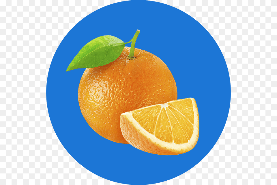 Orange Tangerine, Citrus Fruit, Food, Fruit, Plant Free Png