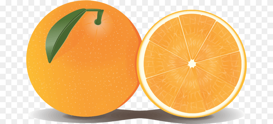 Orange To Use Clip Art, Citrus Fruit, Food, Fruit, Grapefruit Free Png