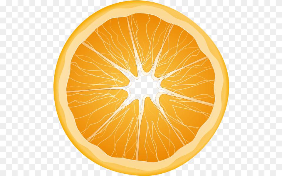 Orange Transparent All Orange Slice Clipart, Citrus Fruit, Food, Fruit, Plant Png Image