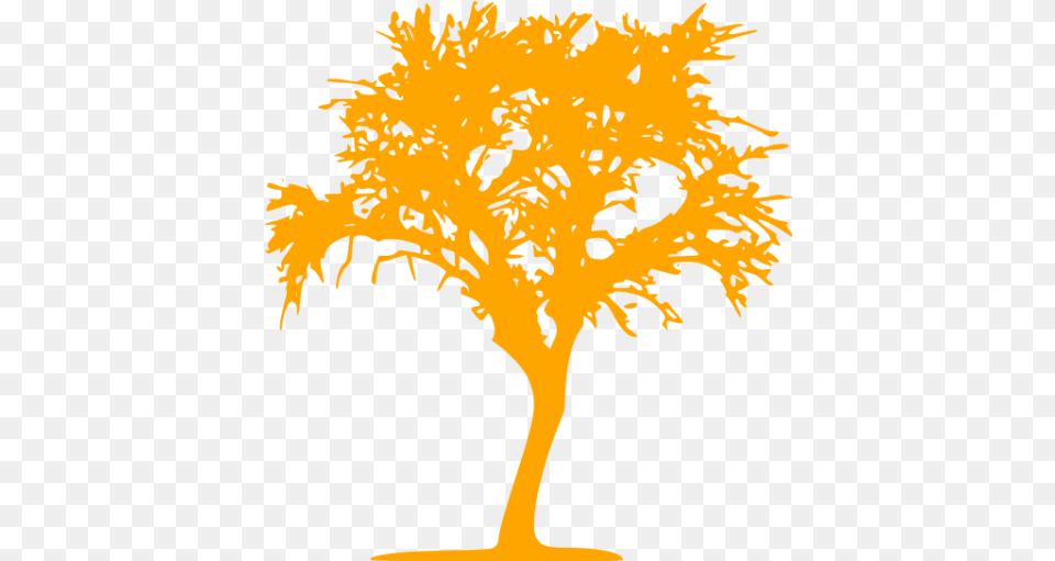 Orange Tree 10 Icon Free Orange Tree Icons Icon, Plant, Potted Plant, Person, Art Png