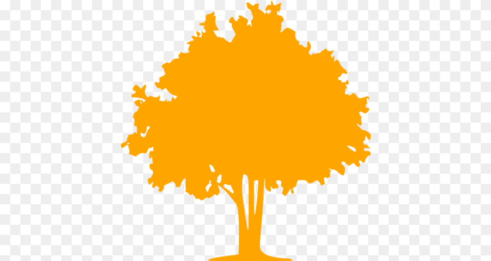 Orange Tree 32 Icon Orange Tree Icons Coniferous Vs Deciduous Trees, Plant, Leaf, Person, Face Free Transparent Png