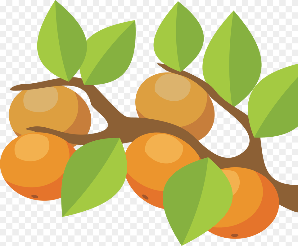 Orange Tree Clip Art, Food, Fruit, Leaf, Plant Png