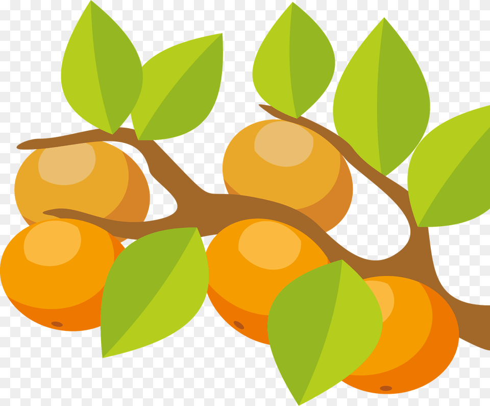 Orange Tree Clipart, Food, Fruit, Plant, Produce Free Png
