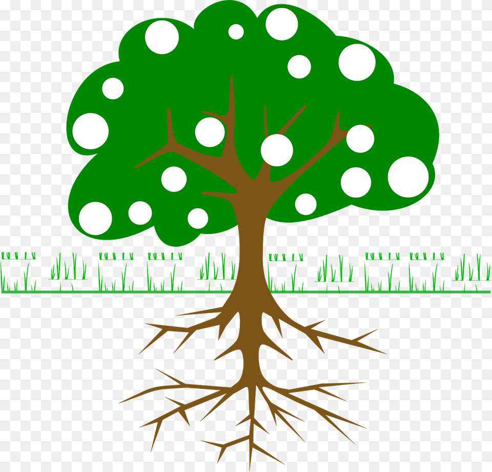 Orange Tree Clipart, Plant, Root, Vegetation Free Png