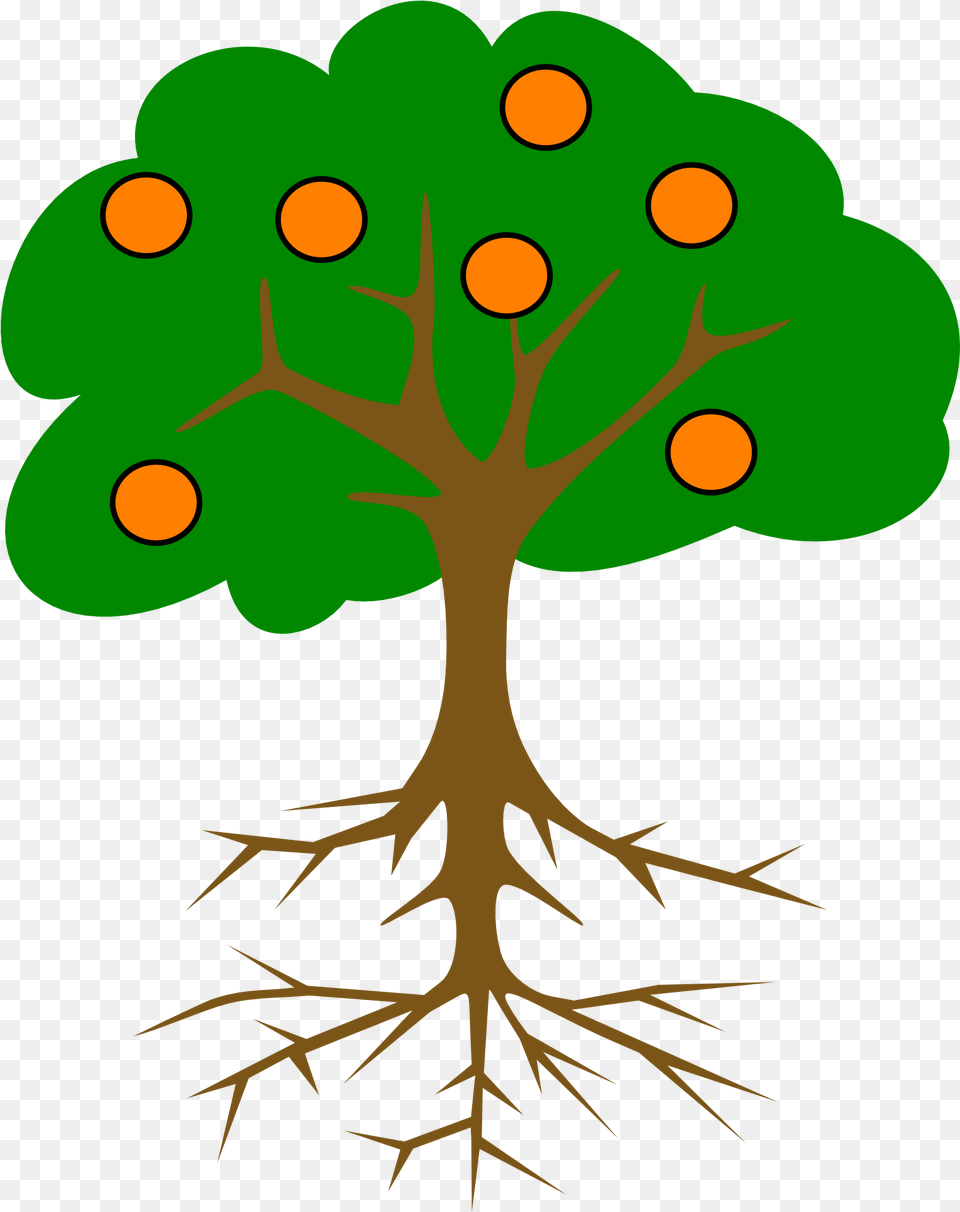 Orange Tree Drawing Mango Tree Root System, Leaf, Plant, Pattern, Art Free Png