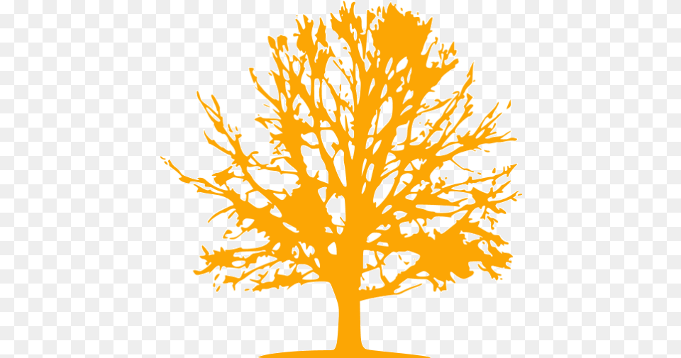 Orange Tree Icon Orange Tree Icons Everyone Shall Sit Under Their Own Vine, Oak, Plant, Sycamore, Tree Trunk Free Png Download