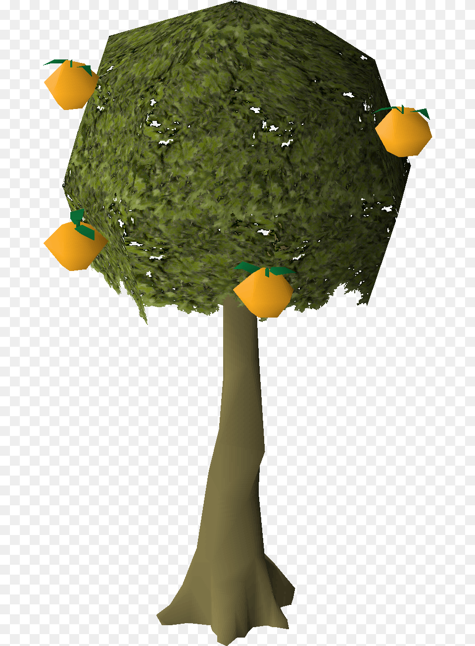 Orange Tree Mahogany Tree, Cross, Symbol, Adult, Bride Free Png