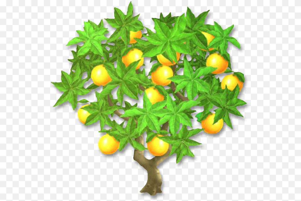Orange Tree S 960x720 V70 8005 Kb, Citrus Fruit, Food, Fruit, Lemon Free Png Download