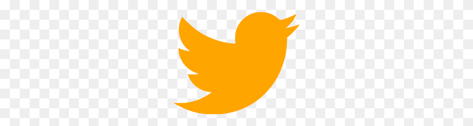 Orange Twitter Icon, Art Free Png Download