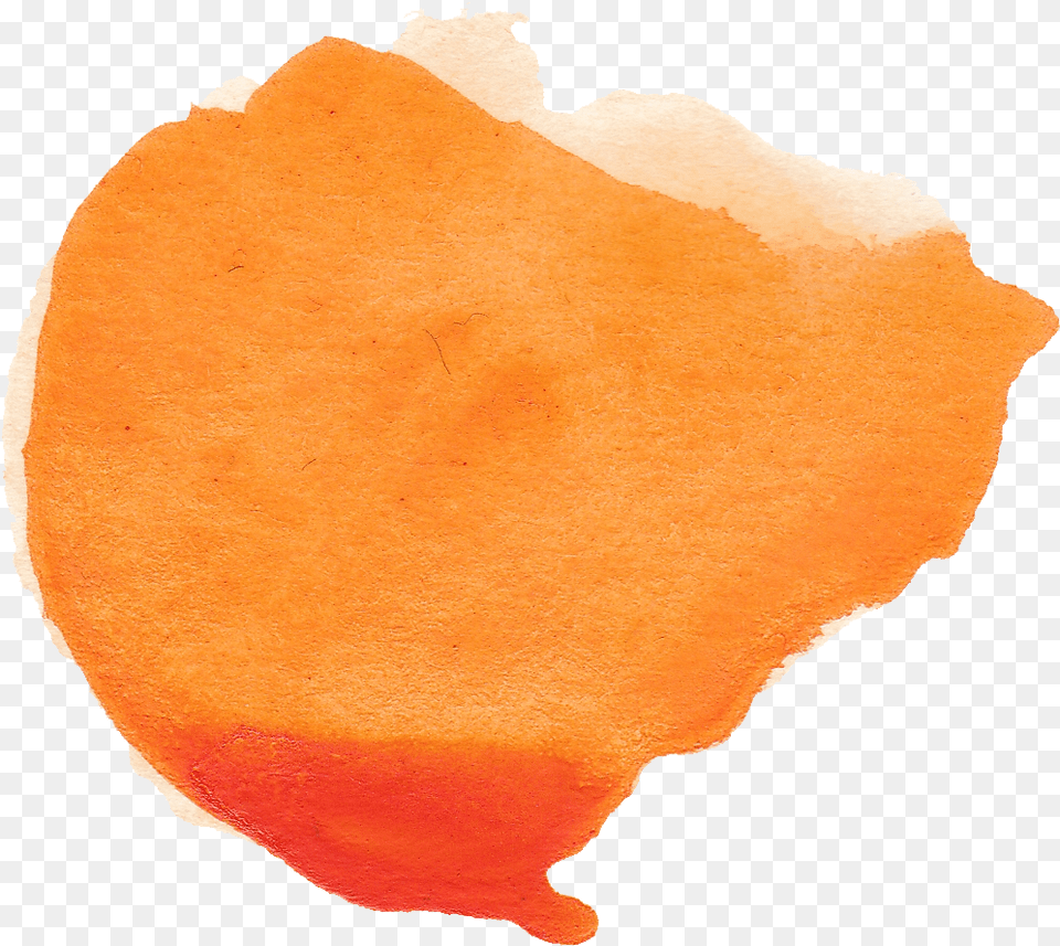 Orange Watercolor Circle Circle Paint Orange, Flower, Petal, Plant, Peel Png Image