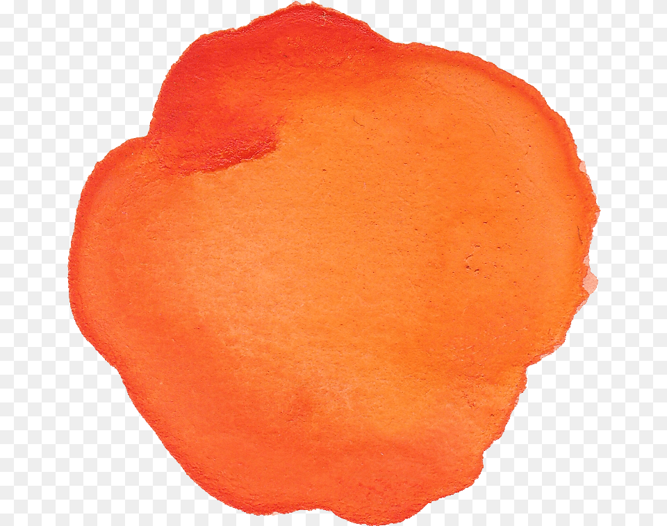 Orange Watercolor Circle Watercolor Orange Circle, Flower, Petal, Plant, Home Decor Free Png Download