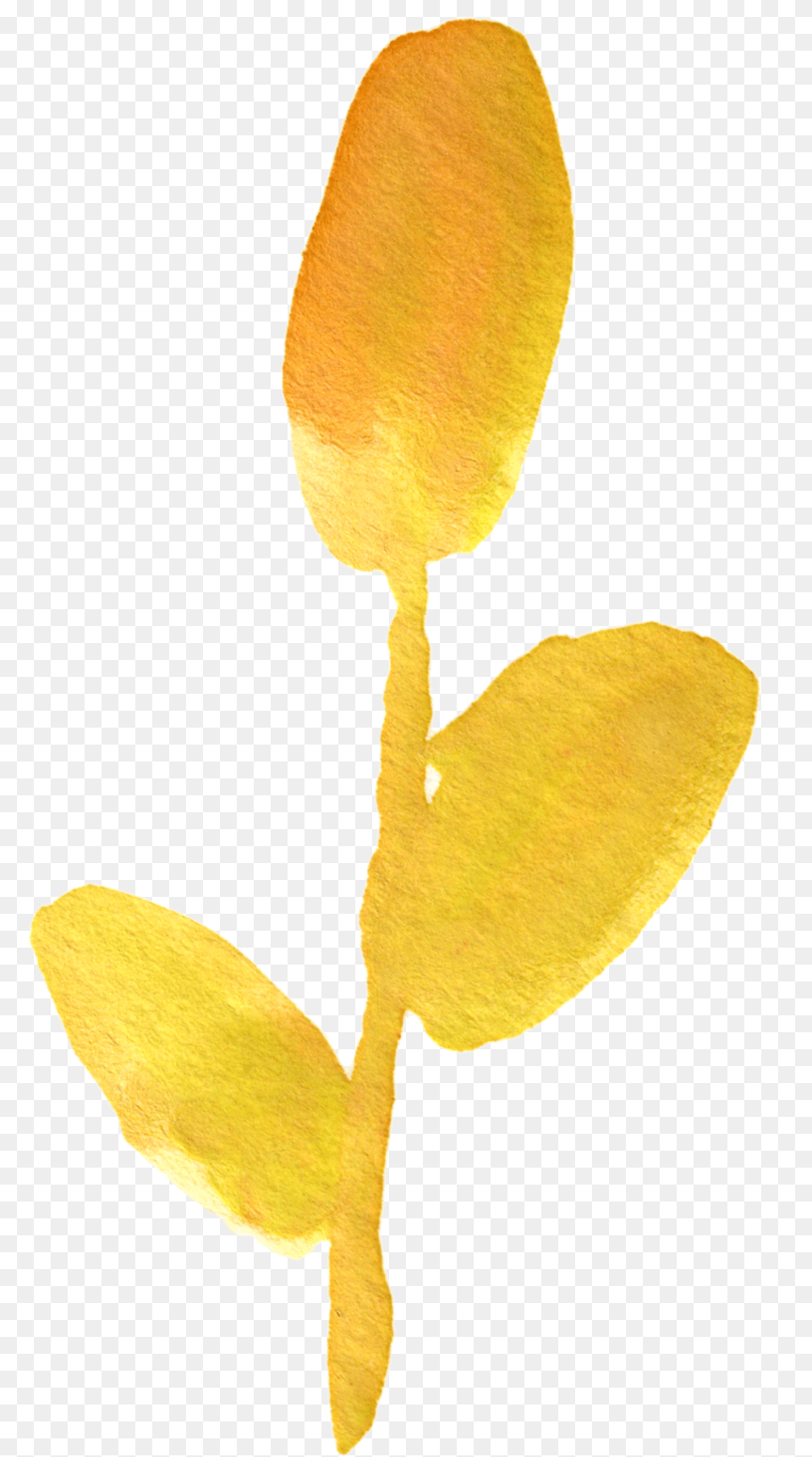 Orange Watercolor Flower Transparent, Leaf, Petal, Plant, Tree Png