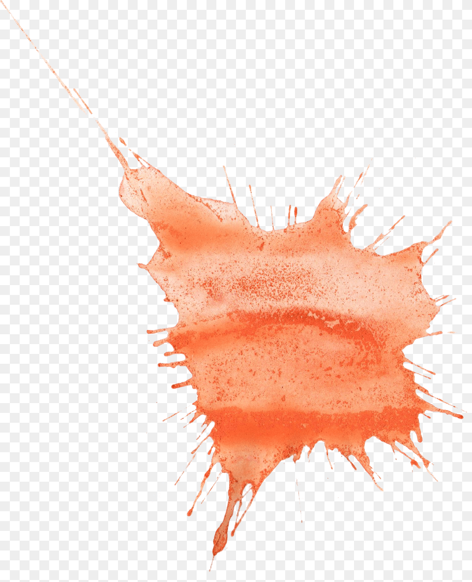 Orange Watercolor Line, Leaf, Plant, Person, Stain Free Png Download