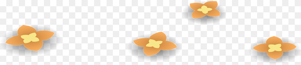 Orange Wild Flowers Clipart, Flower, Plant, Petal, Food Png