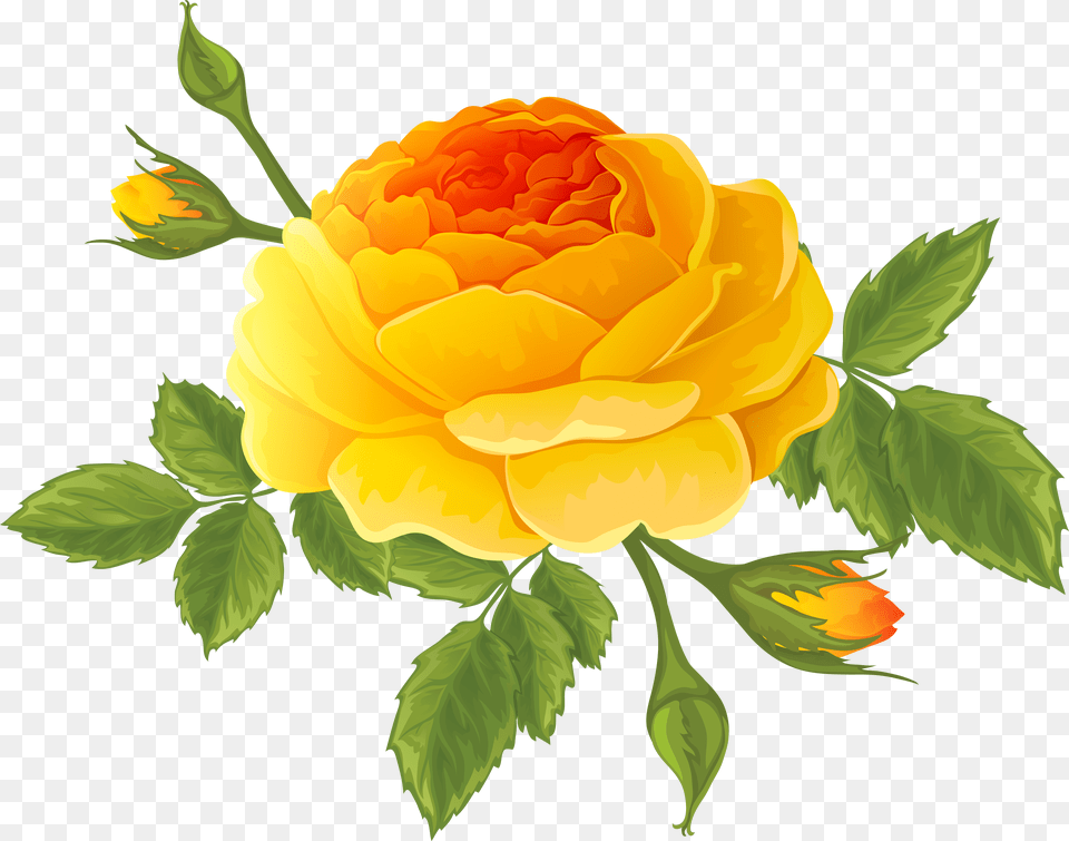 Orange With Buds Free Transparent Png