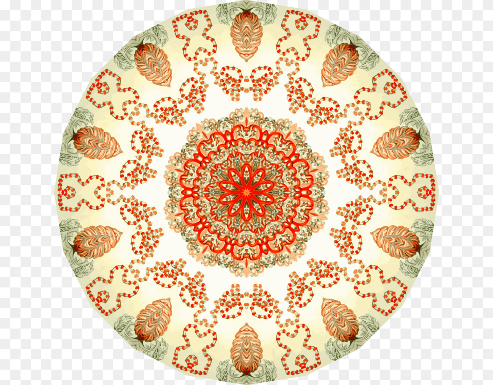 Orangecirclesymmetry Circle, Home Decor, Pattern, Art, Floral Design Free Transparent Png
