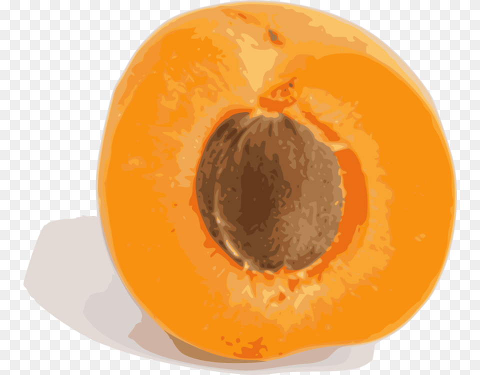 Orangefoodplant Apricot Fruit, Food, Plant, Produce Png
